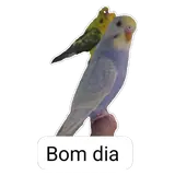 Figurinha de Animais para WhatsApp