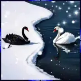 Figurinha para WhatsApp