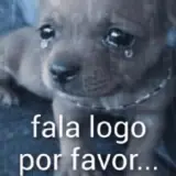 Figurinha de Memes para WhatsApp