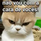 Sticker de Gatos para WhatsApp