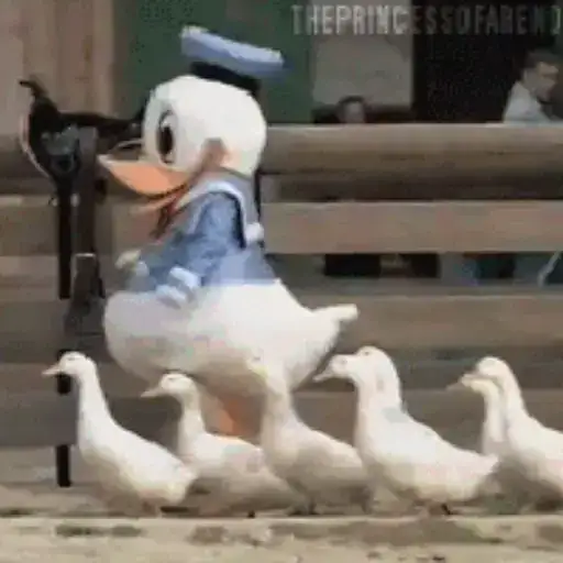 Coletadas sticker 614