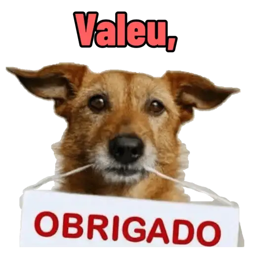 Coletadas sticker 18352