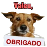 Figurinha de Cachorros para WhatsApp