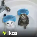 Figurinha de Animais para WhatsApp