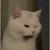 Figurinha para WhatsApp