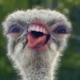 Figurinha para WhatsApp