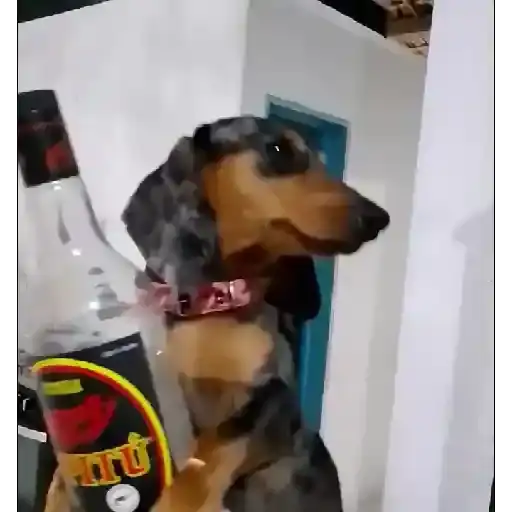 Coletadas sticker 146