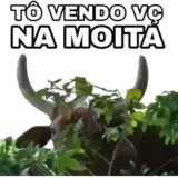 Sticker de Memes Brasileiros para WhatsApp