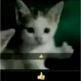 Sticker para WhatsApp