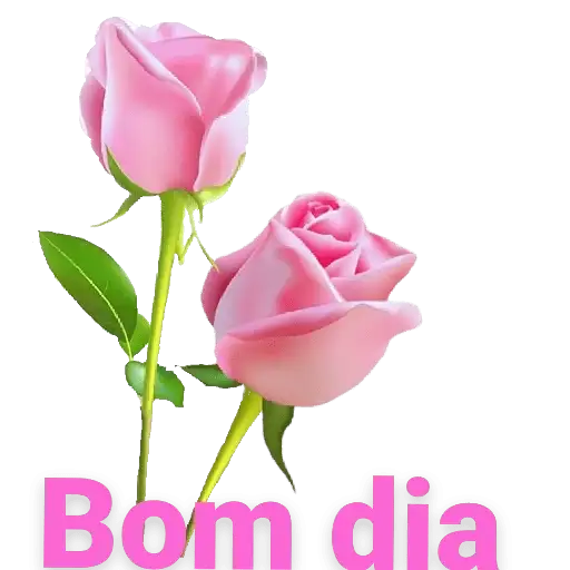 Coletadas sticker 27149