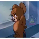 reação WhatsApp sticker