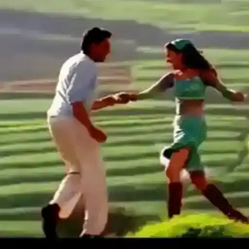 Coletadas sticker 785