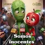 Figurinha de Memes para WhatsApp