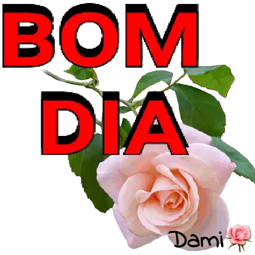 Coletadas sticker 31037