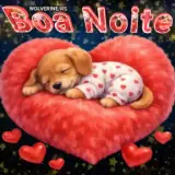 Figurinha de Boa Noite para WhatsApp