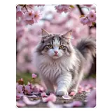 Figurinha de Gatos para WhatsApp