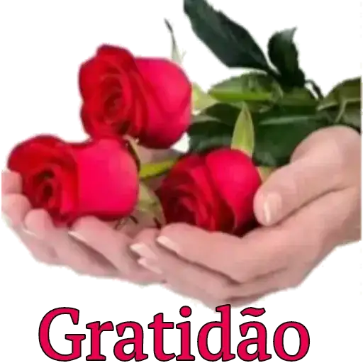 Coletadas sticker 4408