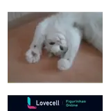 WhatsApp sticker