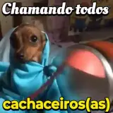Figurinha de Cachorros para WhatsApp
