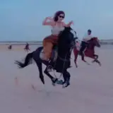 Sticker de Animais para WhatsApp