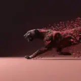 Figurinha de Cachorros para WhatsApp