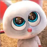 Figurinha de Animais para WhatsApp