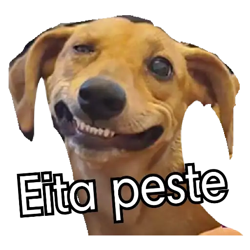 Coletadas sticker 30037