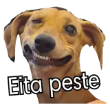 Sticker para WhatsApp