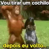 Figurinha de Memes Brasileiros para WhatsApp