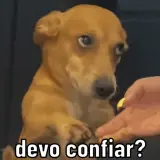 Figurinha de Memes Brasileiros para WhatsApp