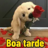 Figurinha de Amor para WhatsApp