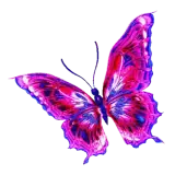 Sticker de Animais para WhatsApp