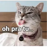 Figurinha de Memes Brasileiros para WhatsApp