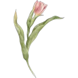 Figurinha de Amor para WhatsApp