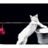 Figurinha para WhatsApp