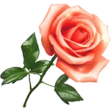 Figurinha de Amor para WhatsApp