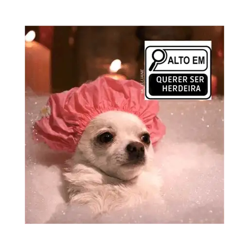 Coletadas sticker 5649