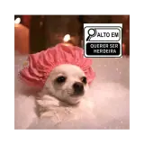 Figurinha de Cachorros para WhatsApp