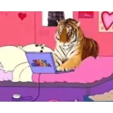 Animais WhatsApp sticker