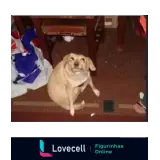 Figurinha para WhatsApp