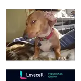 Sticker para WhatsApp