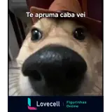 Sticker para WhatsApp