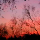 Figurinha para WhatsApp