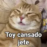 Figurinha de Gatos para WhatsApp