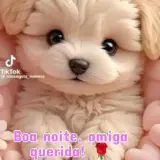 Figurinha de Animais para WhatsApp