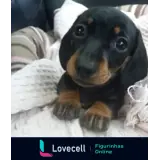 Figurinha para WhatsApp