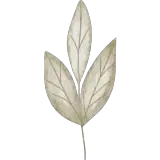 Figurinha para WhatsApp