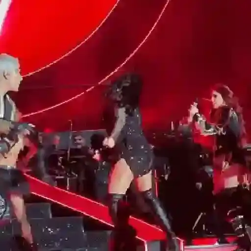 Coletadas sticker 273