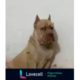Figurinha para WhatsApp