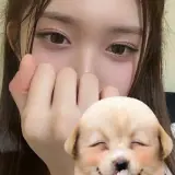 Figurinha para WhatsApp